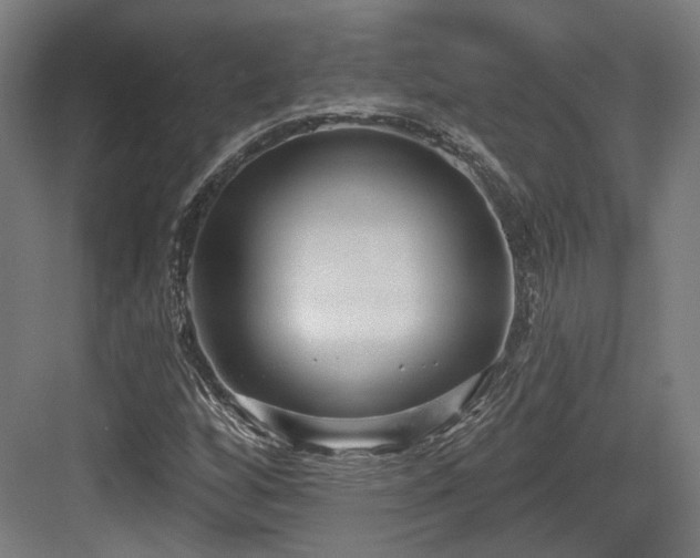 X0000083991256200702161123