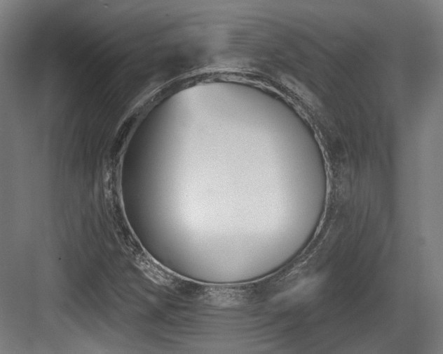 X0000083991258200702161123