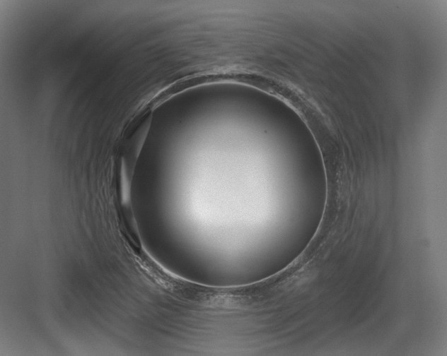 X0000083991265200702161123