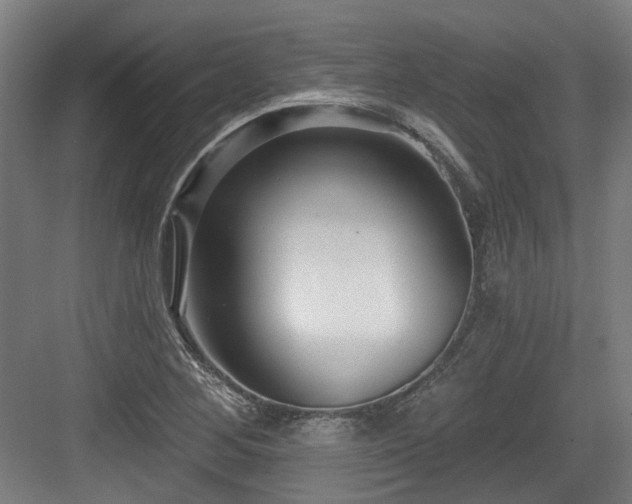 X0000083991268200702161123