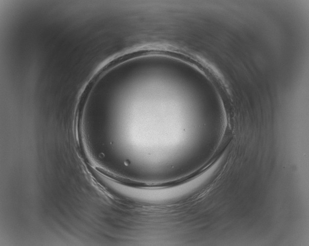 X0000083991272200702161123
