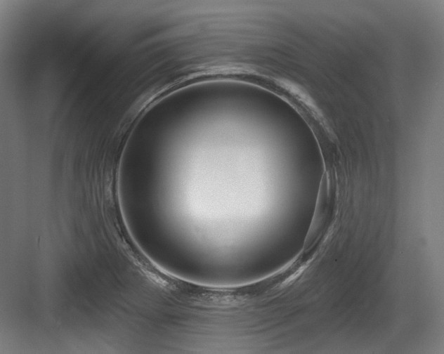 X0000083991273200702161123