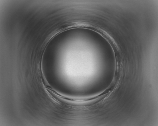 X0000083991281200702161123