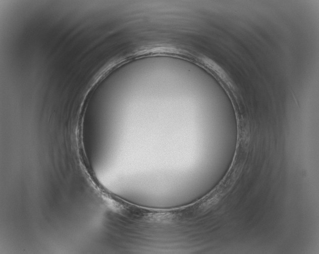 X0000083991282200702161123