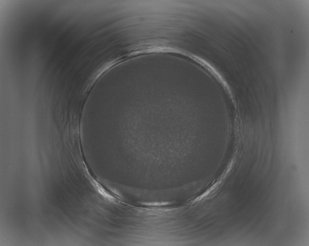 X0000083991289200702161123