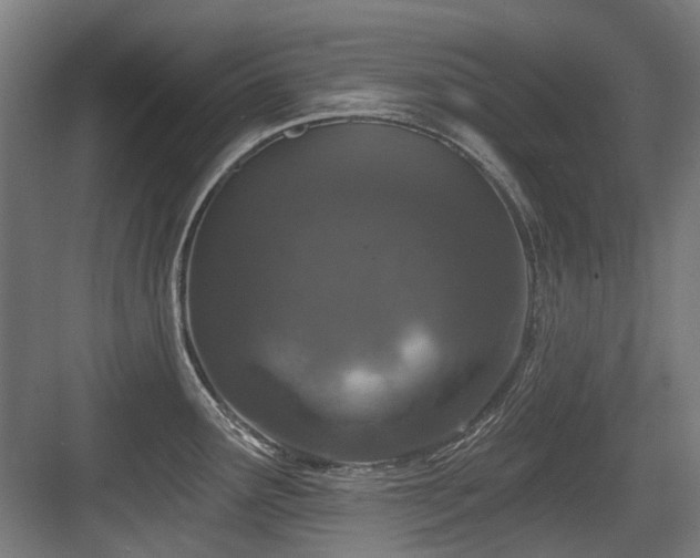 X0000083991291200702161123