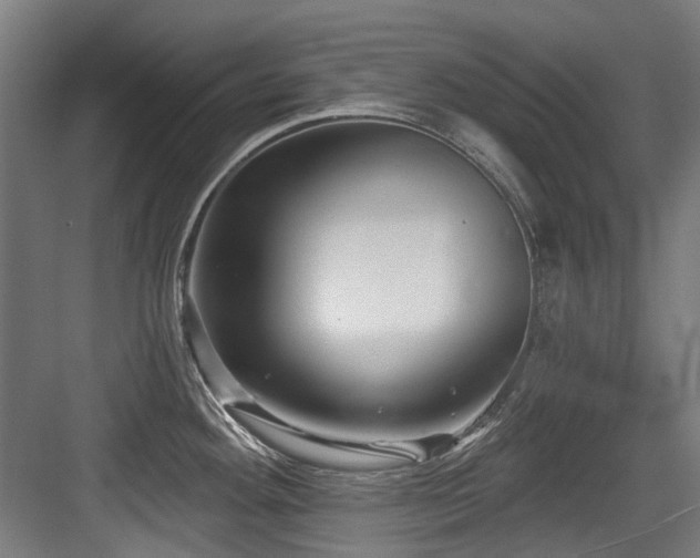 X0000083991292200702161123