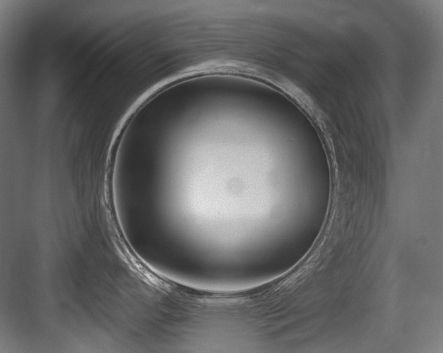 X0000083991296200702161123
