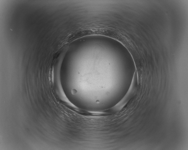 X0000083991298200702161122
