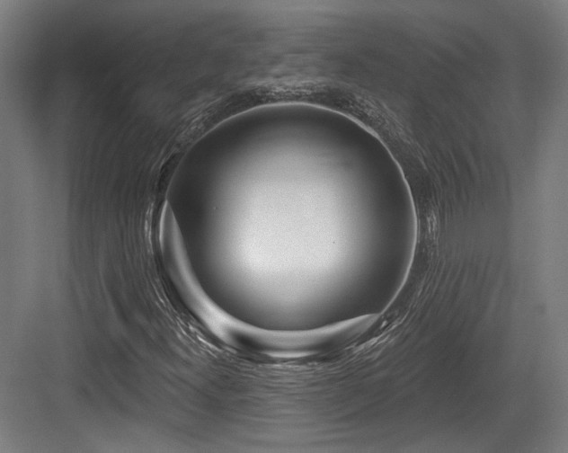 X0000083991300200702161122