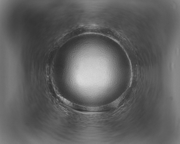 X0000083991301200702161122