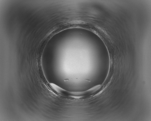 X0000083991305200702161122