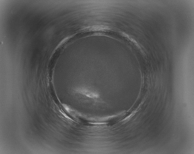 X0000083991306200702161122