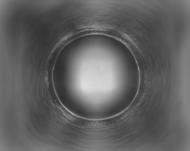 X0000083991307200702161122
