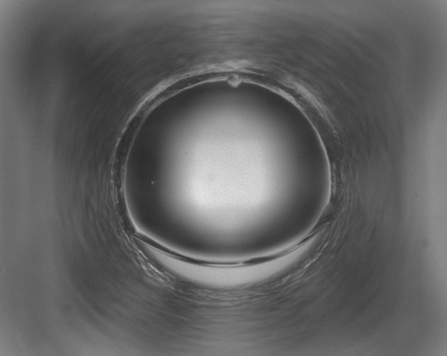 X0000083991308200702161122