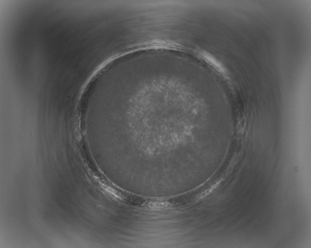 X0000083991310200702161122