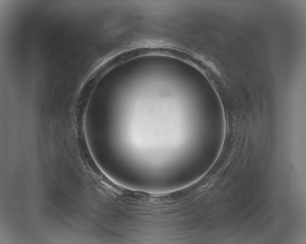 X0000083991311200702161122