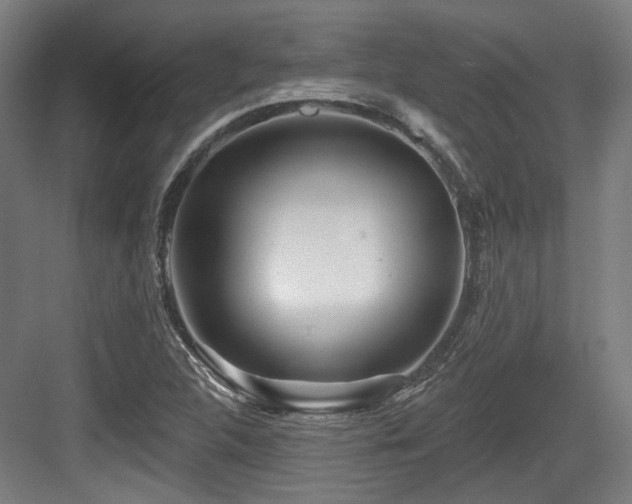 X0000083991312200702161122