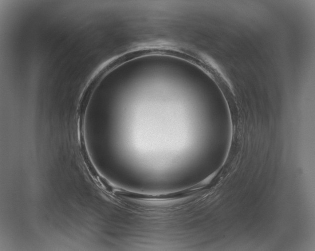 X0000083991320200702161122