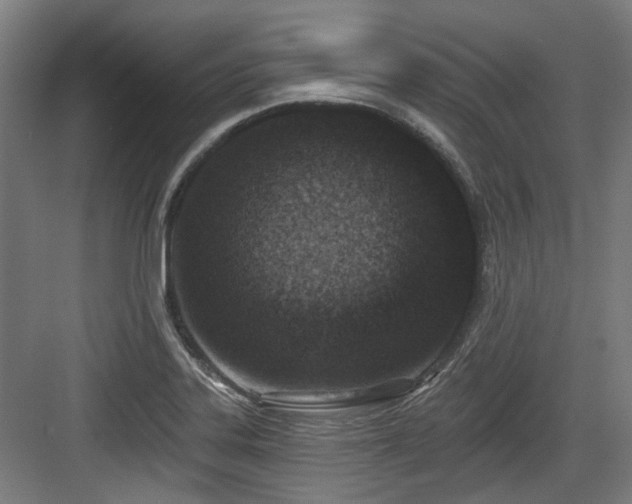 X0000083991323200702161122