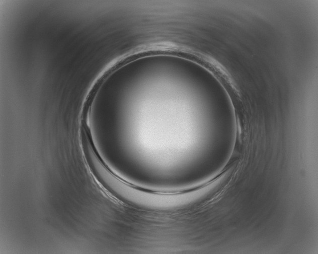 X0000083991326200702161122