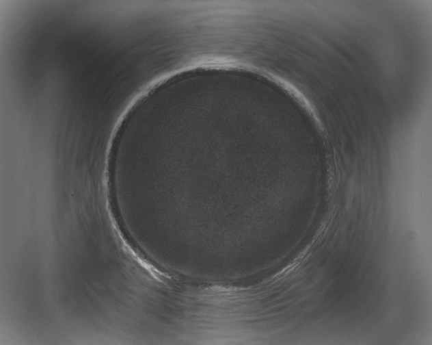 X0000083991327200702161122