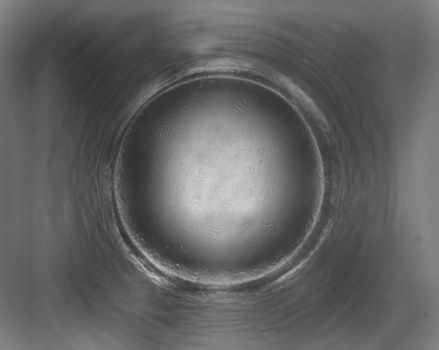 X0000083991329200702161122