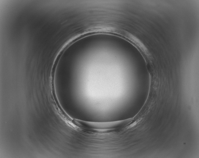 X0000083991332200702161122