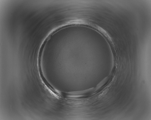 X0000083991334200702161122