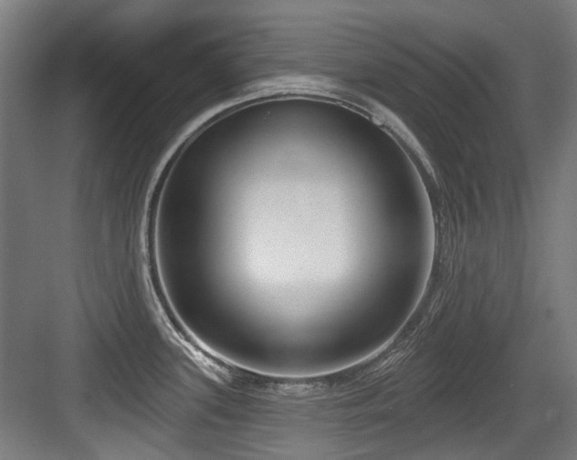 X0000083991339200702161122