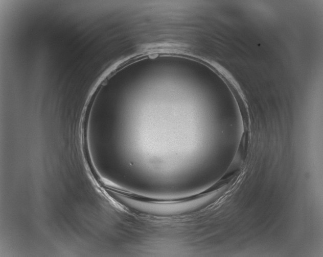 X0000083991341200702161122