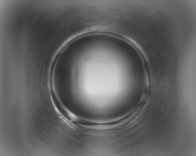 X0000083991342200702161123