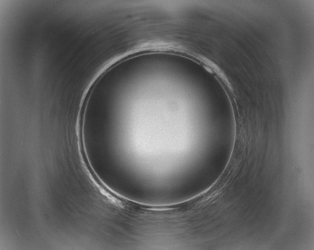 X0000083991343200702161123