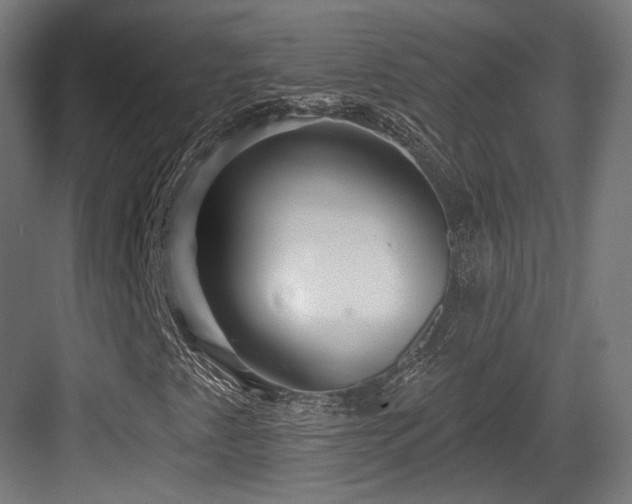 X0000083991345200702161122