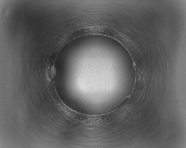 X0000083991346200702161122