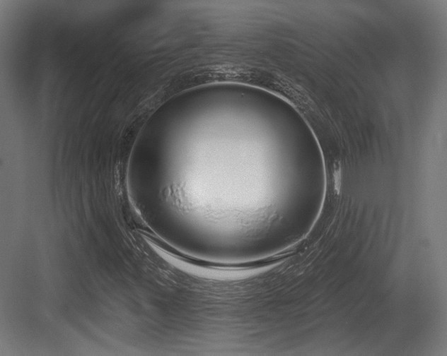 X0000083991347200702161122