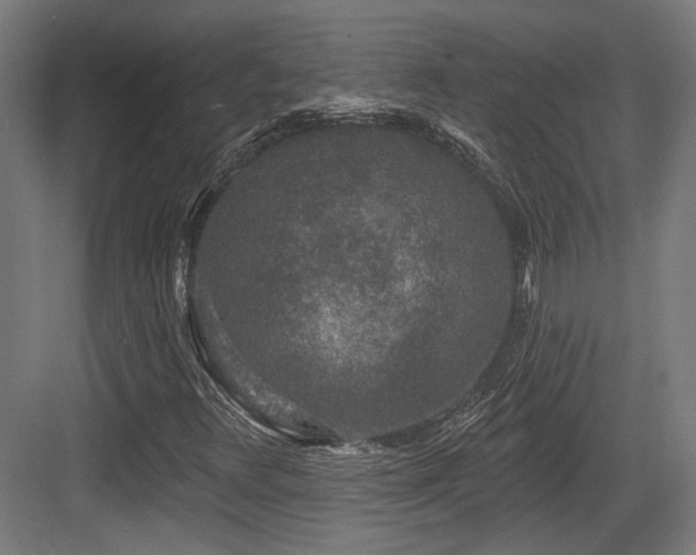 X0000083991348200702161122