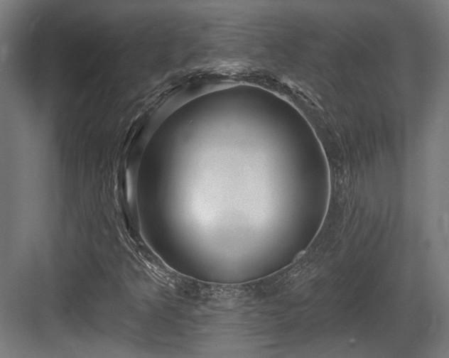 X0000083991349200702161122
