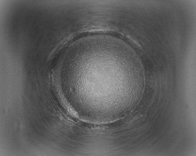 X0000083991351200702161122