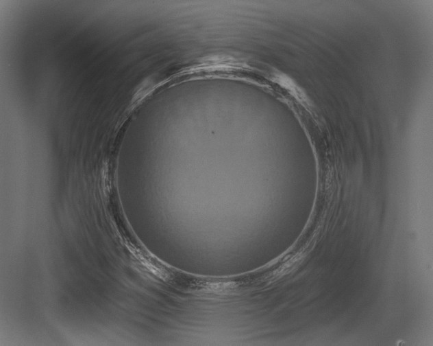 X0000083991353200702161122