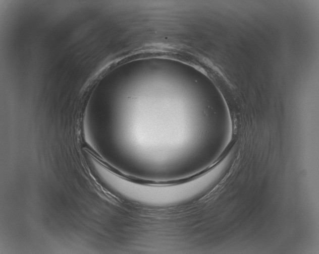 X0000083991355200702161122