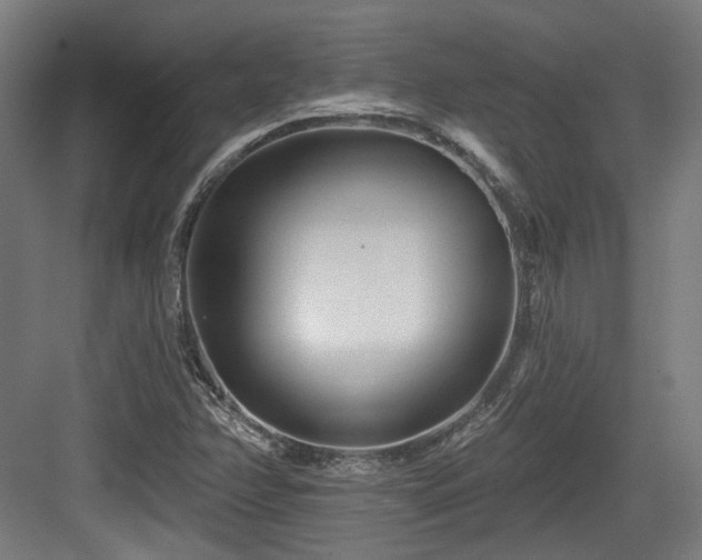 X0000083991358200702161122
