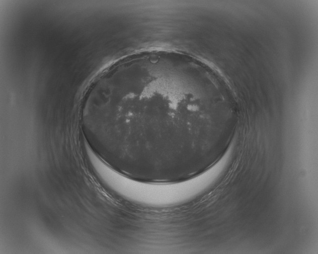 X0000083991359200702161122