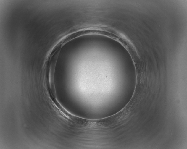 X0000083991360200702161121