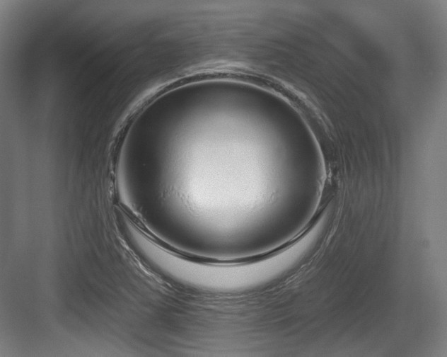 X0000083991363200702161121
