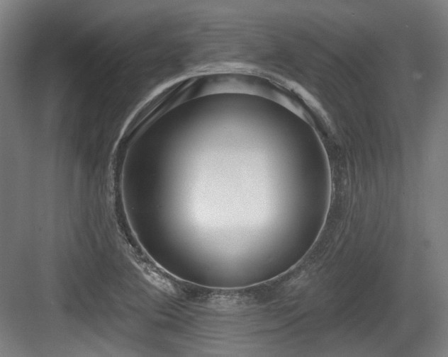 X0000083991364200702161121