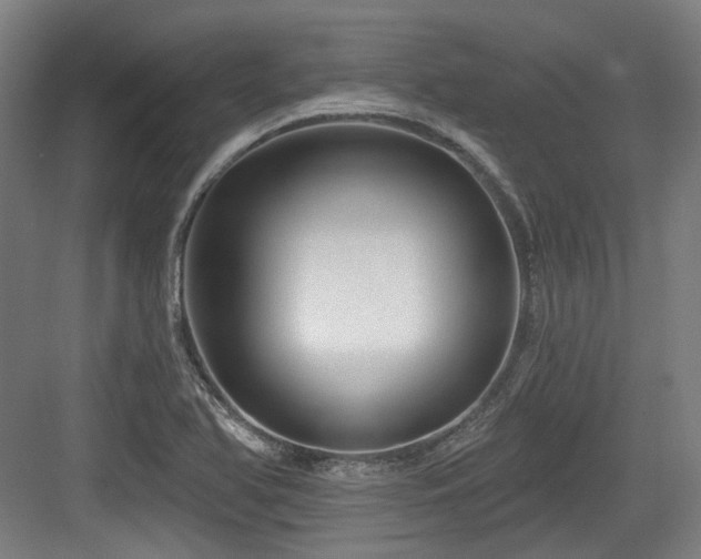 X0000083991366200702161121