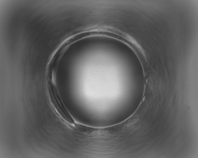 X0000083991368200702161121