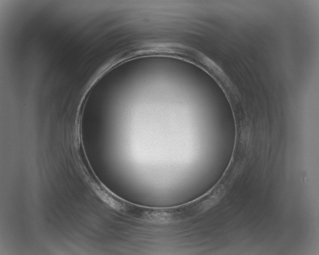 X0000083991370200702161121