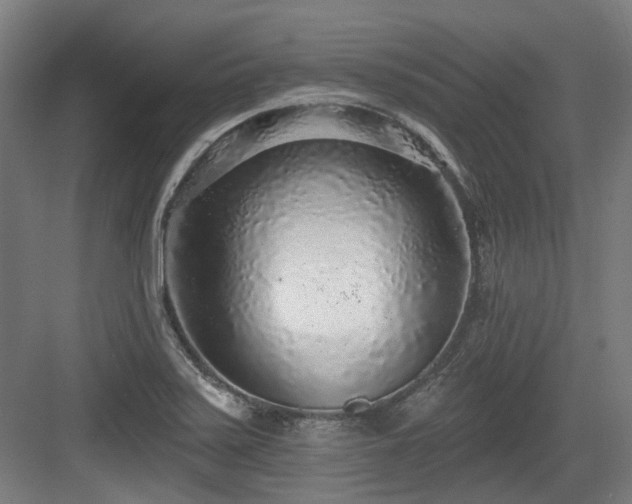 X0000083991371200702161121